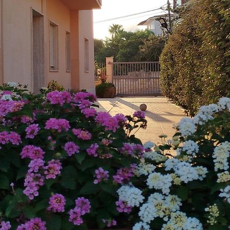 Profumo Di Mare 1 Villa Алкамо Марина Екстериор снимка